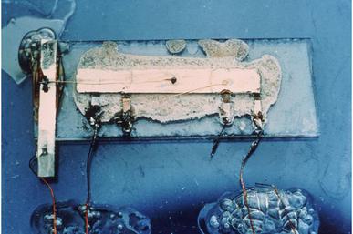 Texas Instrument's Jack Kilby developed the world's first integrated circuit